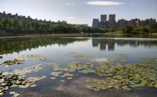 合肥市大蜀山森林公園南湖：綜合治理，再現(xiàn)美麗湖景