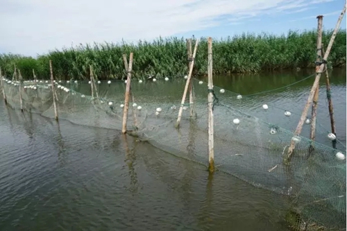 烏梁素海生態(tài)環(huán)境形勢仍不樂觀 綜合治理規(guī)劃不嚴(yán)不實